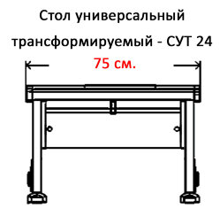 Растущая парта Дэми Parta 1/75 (Сут 24)